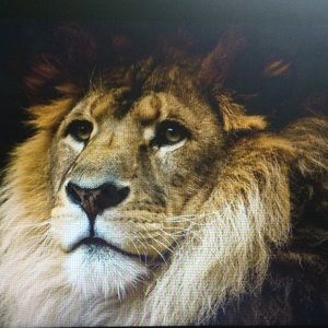 Meet your Posher, Carla